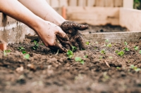 9 Tips voor het inrichten van je kleine tuin