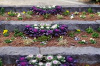 Waarom hoogteverschillen in je tuin plotseling opduiken