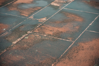 Waarom je die grijze tegels dit jaar uit de tuin gooit