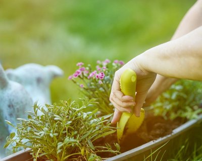 Plant deze bloembollen nu voor een tuin vol kleur in mei
