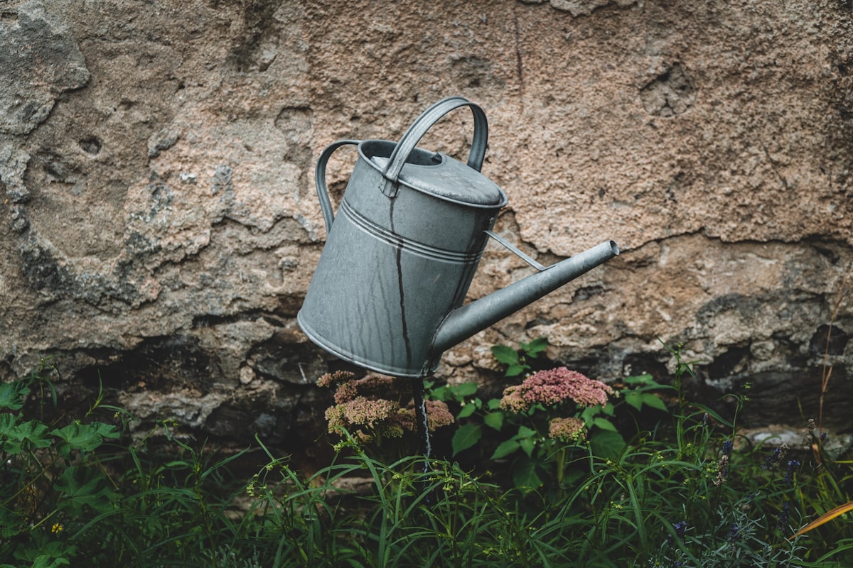 Zo hou je je tuin groen tijdens het sproeiverbod