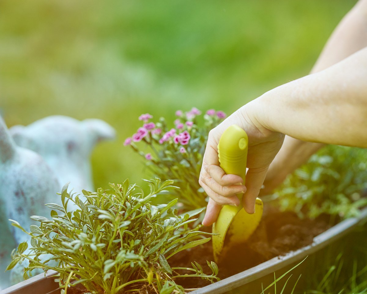 Plant deze bloembollen nu voor een tuin vol kleur in mei